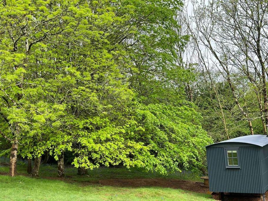 Cornwall Woodland Shepherd'S Hut Deirdres Hut Bodmin Buitenkant foto