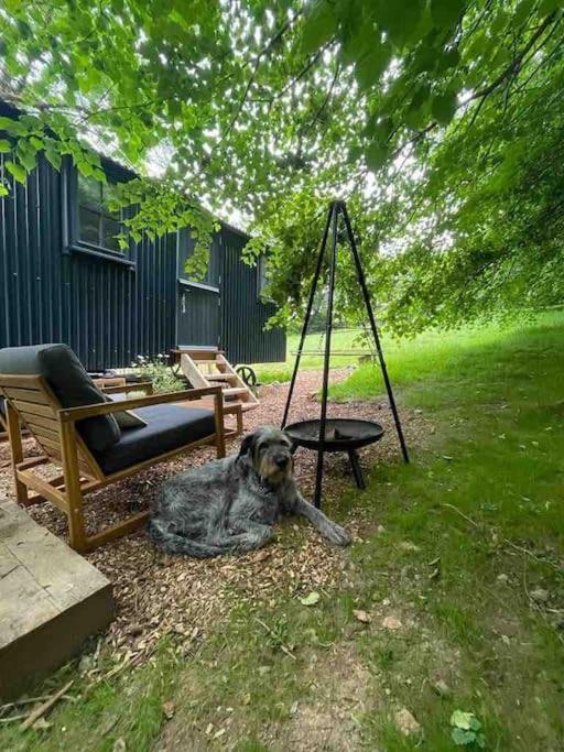 Cornwall Woodland Shepherd'S Hut Deirdres Hut Bodmin Buitenkant foto
