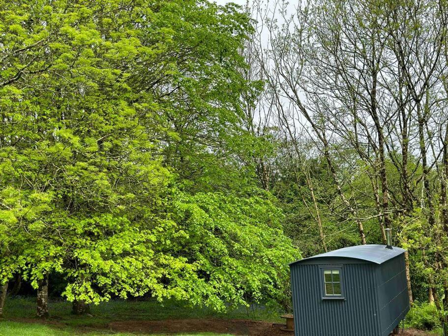 Cornwall Woodland Shepherd'S Hut Deirdres Hut Bodmin Buitenkant foto