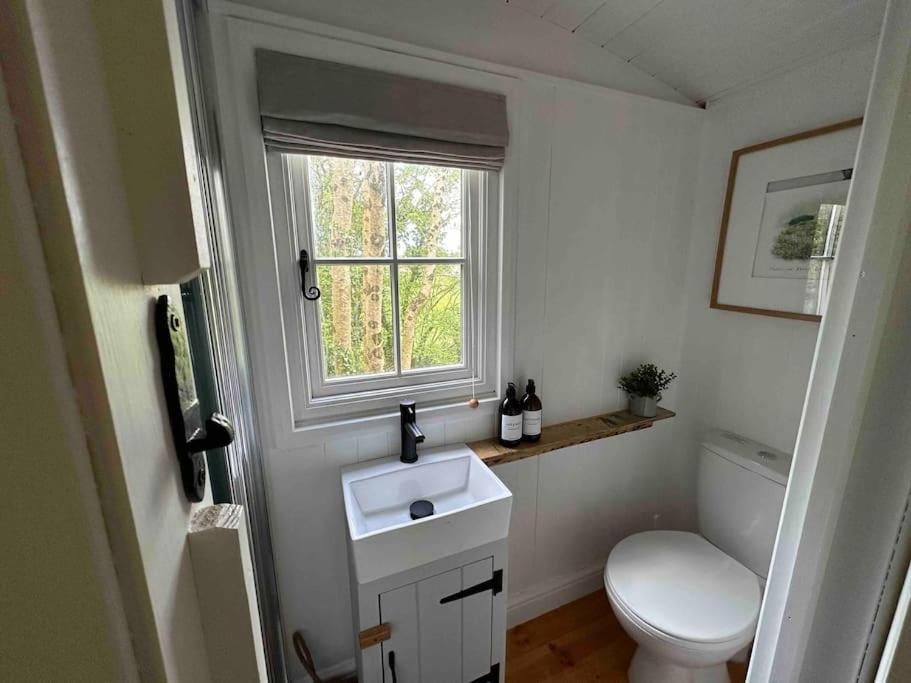 Cornwall Woodland Shepherd'S Hut Deirdres Hut Bodmin Buitenkant foto