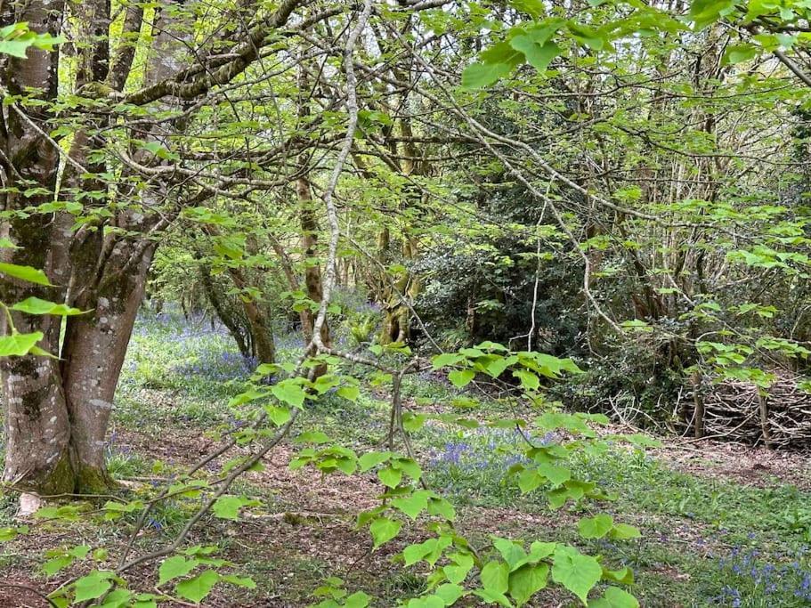 Cornwall Woodland Shepherd'S Hut Deirdres Hut Bodmin Buitenkant foto